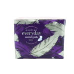 Destiny Everyday Sanitary Pads (4 x 10's)